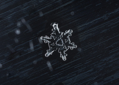自然的雪花