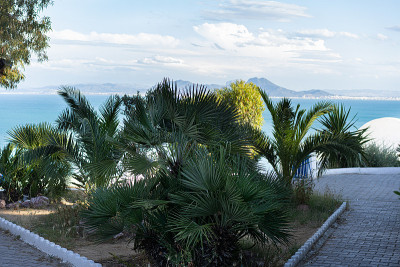 Sidi Bou Said，突尼斯