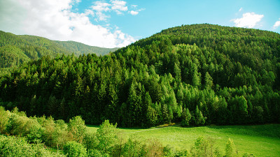 夏季美丽的青山自然景观