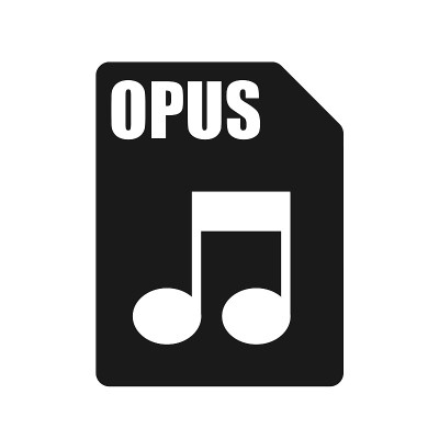 OPUS黑色文件图标，平面设计风格