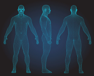 3D wire frame human body Polygonal Low Poly