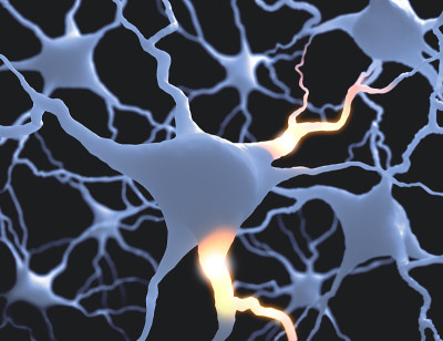 Neurones