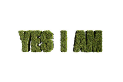 草造字