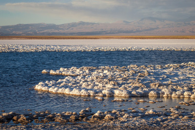 智利圣佩德罗德阿塔卡马的泻湖Tebinquinche landscape