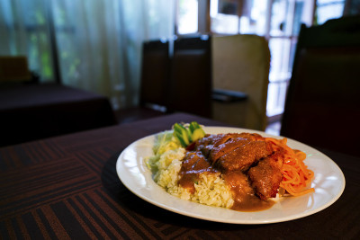 土耳其饭/Turkish rice