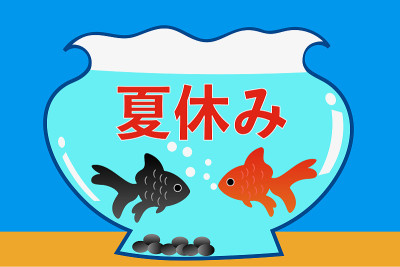 金鱼,鱼缸
