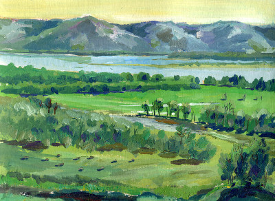 山水草甸画