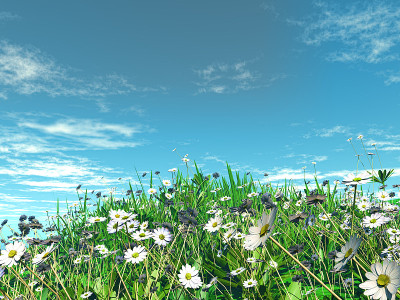 草中的3D雏菊