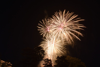 缤纷的烟花庆祝法国烟火