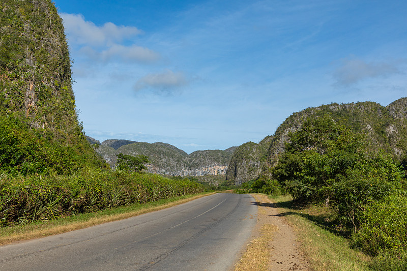 维纳莱斯谷(Valle de Vinales)，著名的旅游目的地。烟草种植园。古巴比那尔del里约热