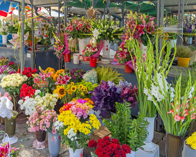 鲜花市场