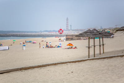 有四顶草阳伞的海滩，夏日天气有游客做日光浴