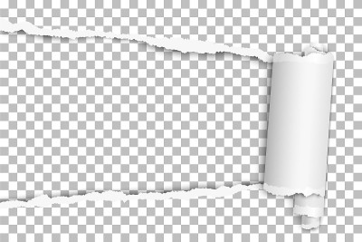 Torn elongated hole from left to right side in tra