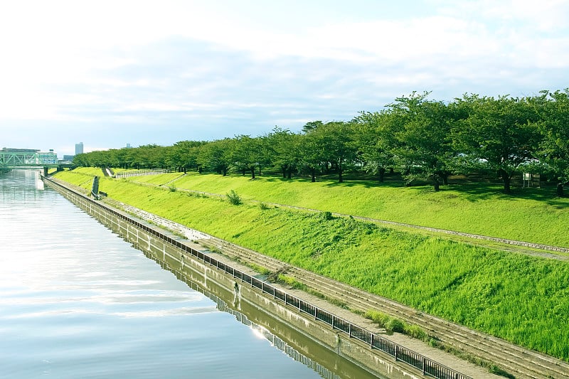 河边的风景