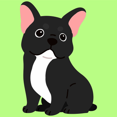 平色黑色法国斗牛犬坐在前面的观点