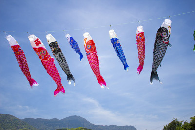鲤鱼等浮电缆