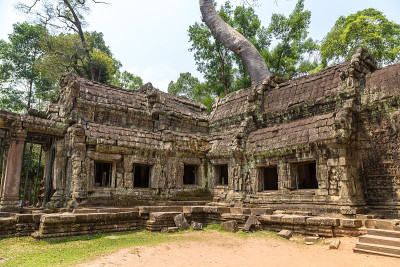 吴哥窟的Ta Prohm temple in Angkor Wat