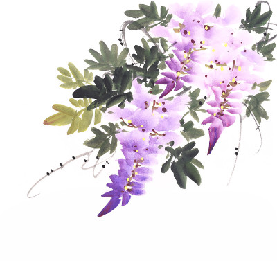 紫藤花鱼，中国传统水墨画。