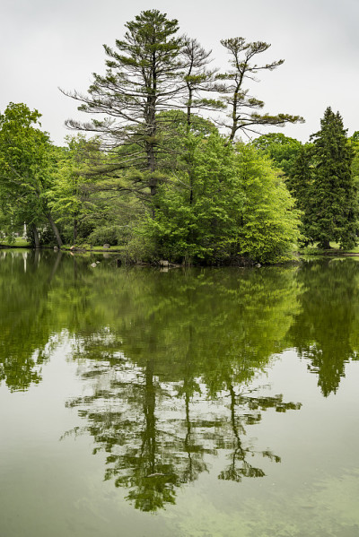 森林山公墓景观和湖在波士顿MA