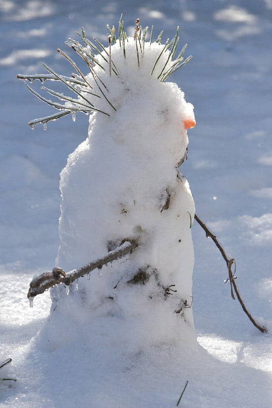 雪人的莫霍克