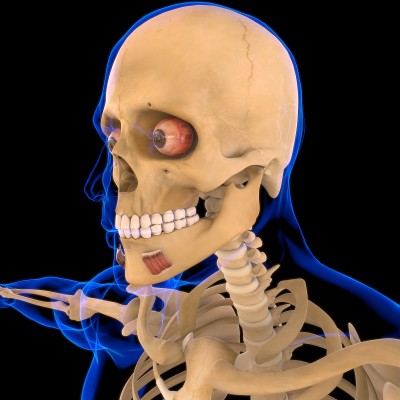 降角口肌肉解剖医学概念3D