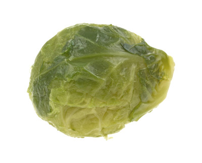 抱子甘蓝