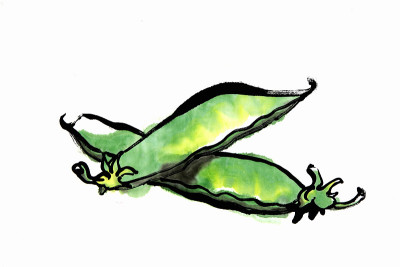 雪豌豆