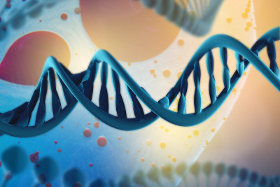 DNA分子的3d插图。螺旋分子有机体环境中的螺旋分子转基因