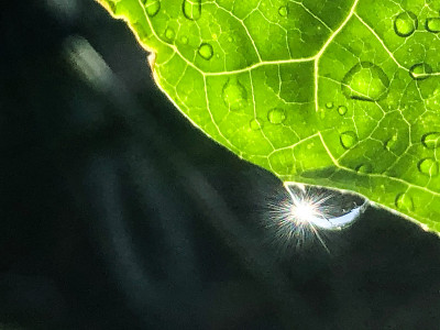 太阳眩光
