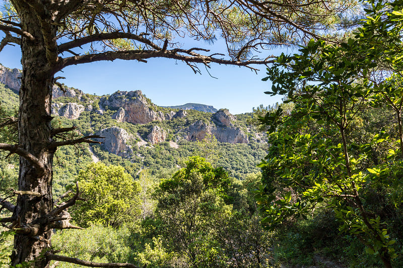 地狱马戏团的景观，靠近中世纪村庄圣guilhem -le- desert (Occitanie，法国