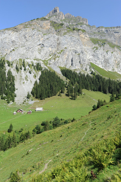 景观在Engelberg