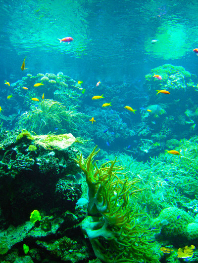水族馆背景场景