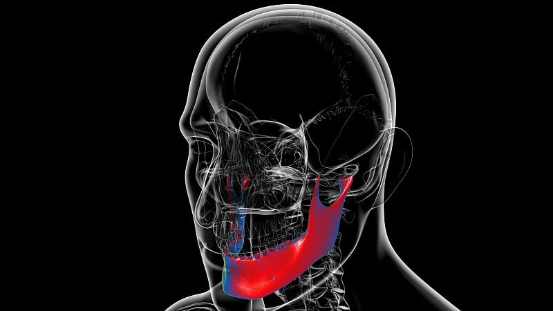 人体骨骼、颅骨、下颌骨解剖学的医学概念
