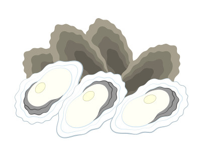 牡蛎的插图