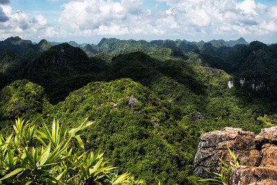 在公园里徒步旅行