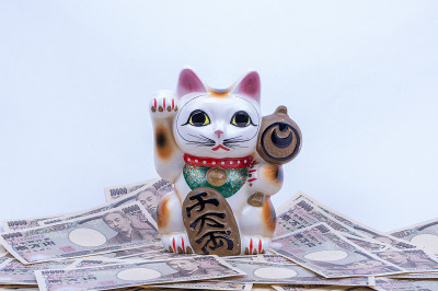 一只吸引人的猫和金钱来创造幸福。