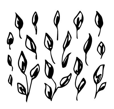 简单的手绘矢量黑白绘图。一组不同的叶子在茎上，细枝上。树叶图案创作，季节性装饰。