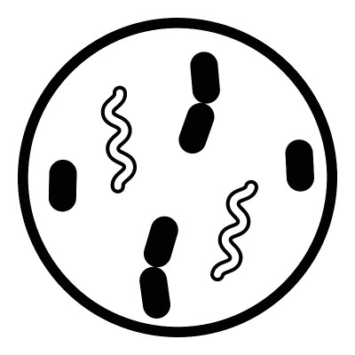 Bacteria Flat Icon Isolated On White Background