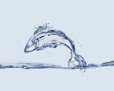蓝水跳鱼