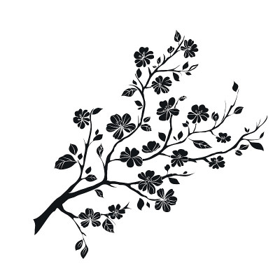 嫩枝樱花