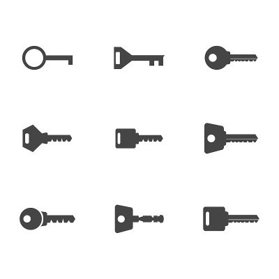 key icon vector. password icon. Vector illustratio