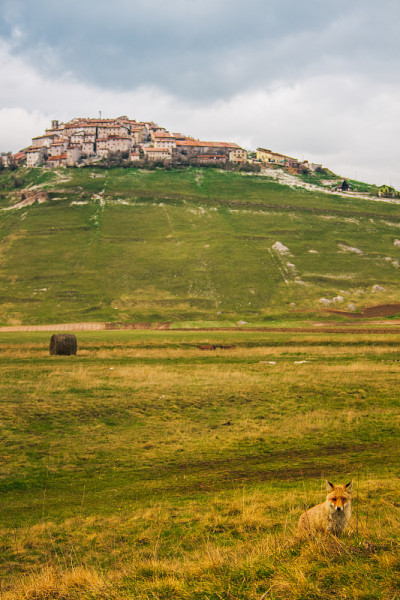 Castelluccio:山上的狐狸和村庄