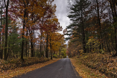 Bostwick路,10月