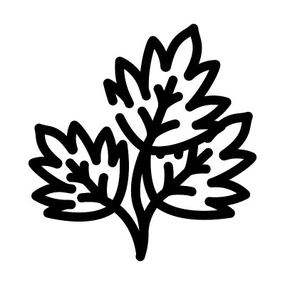 欧芹叶线图标矢量插图