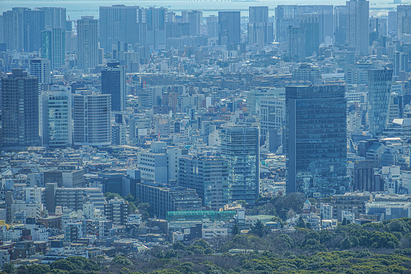 从东京都政府大楼的观景台上看到的东京天际线