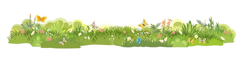 草地。夏天草药空地。草关闭。花。乡村美丽的风景。野生毛边的草坪。卡通风格。平面设计。在白色背景上被孤