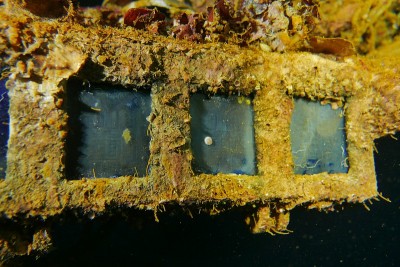 Famous wreck ship Fujikawa maru in Truk lagoon