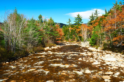 秋日Swift River