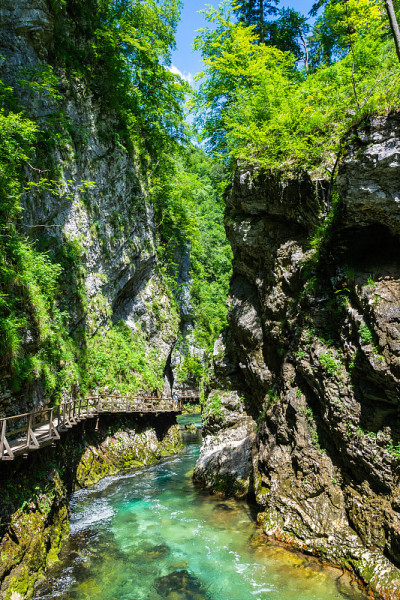 风景在Vintgar峡谷(Soteska Vintgar)附近的布莱德镇在斯洛文尼亚。