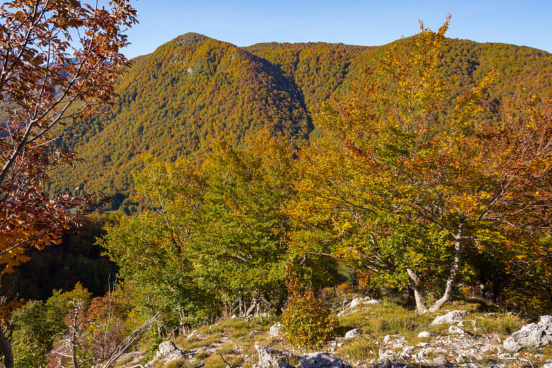 各点各点各点在民族公园的Abruzzo，拉齐奥和Molise的壮观的山地全景。